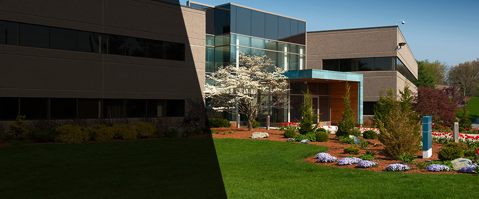 Berkeley Heights Landscapers