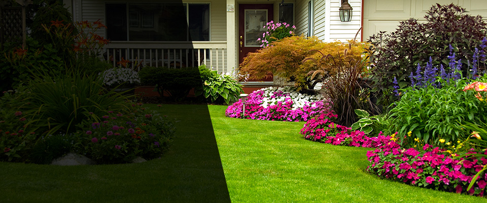 Berkeley Heights Landscapers